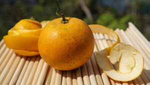 G63aa5732a0aeca7c91b438ff6c8e2487e044a5e753b4526a337ac9ef277a14386ef9a264595d2518322a1c0d8a59a7a0bb1213805bc3d49bbe074aeb5a4690c5 640