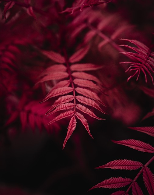 Tải 8xbet cho iPhone - Hướng dẫn cách tải ứng dụng 8xbet cho điện thoại iPhone